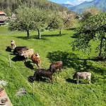 Bed & Breakfast Haus Itten