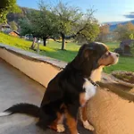 Haus Itten Bed & Breakfast Hondrich
