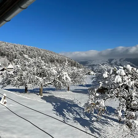 Oda ve Kahvaltı Haus Itten