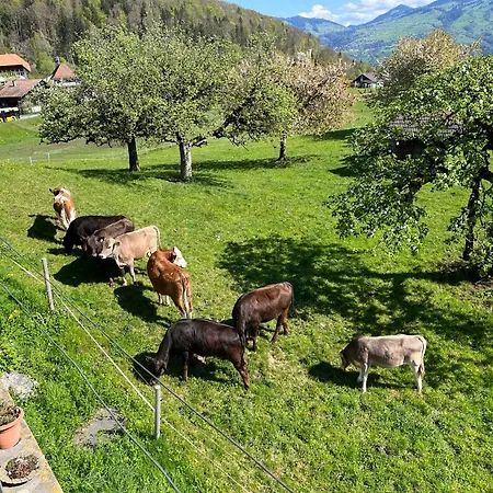 Bed and breakfast Haus Itten