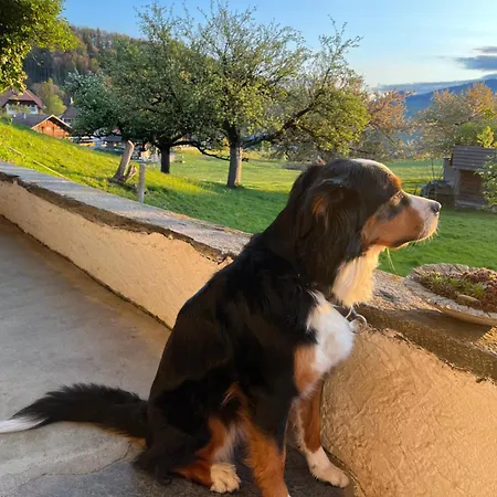 Haus Itten Bed and breakfast Hondrich