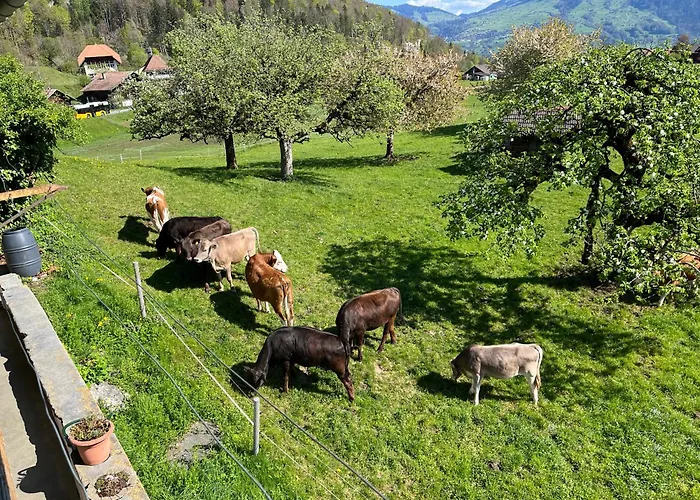 Bed & Breakfast Haus Itten