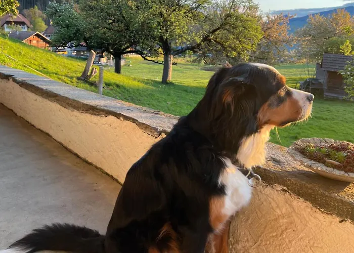 Haus Itten Panzió Hondrich